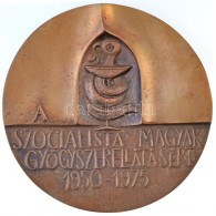 Ligeti Erika (1934-2004) 1975. 'A Szocialista Magyar Gyógyszerellátásért 1950-1975'... - Unclassified