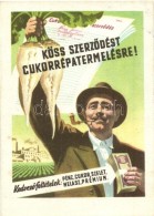 ** T2/T3 Köss SzerzÅ‘dést Cukorrépa Termelésre! / Hungarian Socialist Propagandacard,... - Unclassified
