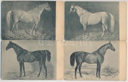 ** 5 Db RÉGI Megíratlan Lovas Motívumlap / 5 Pre-1945 Unused Horse Motive Cards - Non Classés