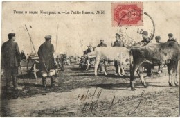 T2/T3 La Petite Russie / Malorossiya / Types Of Little Russia, Ruthenia, Cattle, Folklore, TCV Card (EK) - Non Classés