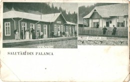 ** T3 Palánka, Palanca; Gara Palanca, Locuinta Sefului De Gara / Railway Station, House, Floral (EB) - Non Classificati