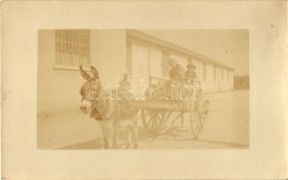 * T2 1918 Verona, Donkey Cart, Folklore, Photo - Unclassified