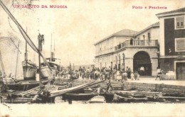 T3 Muggia, Porto E Pescheria / Port, Fish Market (EK) - Ohne Zuordnung