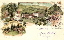 T2 Sulzbrunn Im Bayr. Allgau, Jodbad / Spa, Floral Litho - Unclassified