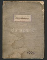 1923 A Súly. Kézzel írt, Rajzokkal Illusztrált Fizika Jegyzet 16 Oldalon, Kis... - Non Classés