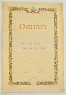 1953-1958 Szocialista Oklevelek, 5 Db, Változó állapotban, KettÅ‘ Szakadozott. - Unclassified