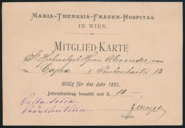 1881 Bécs, A Maria-Theresia-Frauen-Hospital Tagkártyája / Wien, Maria-Theresia-Frauen-Hospital... - Non Classificati