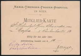 1881 Bécs, A Maria-Theresia-Frauen-Hospital Tagkártyája / Wien, Maria-Theresia-Frauen-Hospital... - Ohne Zuordnung