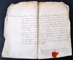 1805 Királyi, Latin NyelvÅ± Okmány Birtokügyben, Gömör-Kishont Vármegye... - Non Classificati