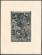 Jelzés Nélkül: Ex Libris Dr. Lustig István. Fametszet, Papír, 9×6 Cm - Other & Unclassified