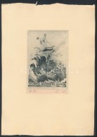 Révész Kornél (1885-1944): Ex Libris Schäffer Andor, Rézkarc, Papír,... - Other & Unclassified