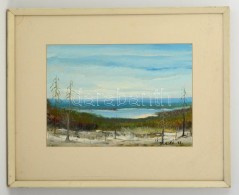 Olvashatatlan Jelzéssel: Tundra. Olaj, Karton, Keretben, 30×42 Cm - Other & Unclassified