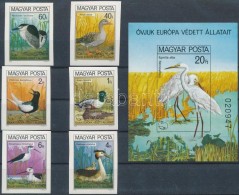 ** 1980 Madarak (IX) Vágott Sor + Blokk (10.500) - Altri & Non Classificati