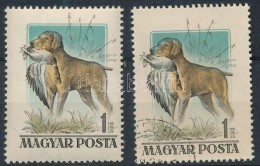 ** O 1955 Kutyák 1Ft Tarajos Réce Postatiszta és Bélyegzett (5.000) - Other & Unclassified