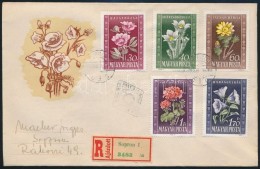1950 Virág Ajánlott FDC - Autres & Non Classés
