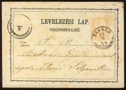 1874 Díjjegyes LevelezÅ‘lap / PS-card 'TASNÁD KÖZÉP SZOLNOK M.' - Other & Unclassified