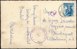 Ausztria 1951 - Other & Unclassified