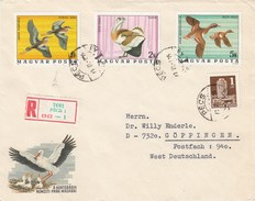 Hongrie - Lettre/Oiseaux Divers, Année 1977 Y.T. 2528-2539-2542 - Brieven En Documenten
