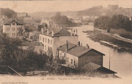 EPINAL   88   VOSGES   - CPA   SEPIA  VUE PRISE DU CHEMIN  DES PRINCES - Epinal