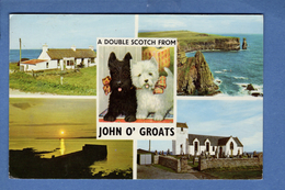 United Kingdom Royaume Uni Scotland Caithness John O' Groats      ( 9 X 14  ) - Caithness