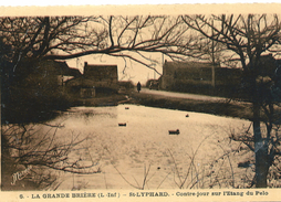 La Grande Brière  (L- Inf)  -  St Lyphard  -  Contre- Jour Sur L'Etang Du Pelo - Saint-Lyphard