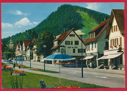 AK Baiersbronn 'Berghof' ~ Um 1970 - Baiersbronn