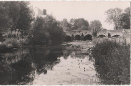 ECOUCHE - ( Orne ) - Pont Sur L'orne - Ecouche