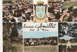 AMILLIS    77  SEINE ET MARNE   CPM  SOUVENIRS D'AMILLIS   MULTIVUES - Autres & Non Classés