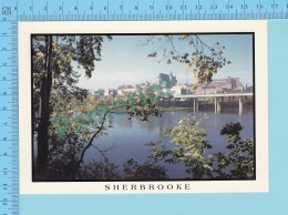 Sherbrooke Quebec -Vue Sur La Riviere Saint-François Et Le Centre-ville - 2 Scans - Sherbrooke