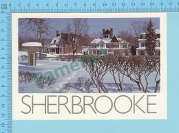 Sherbrooke Quebec -Le Parc Mitchell, Les Maisons Ritchie Et Morey ( 1873) - 2 Scans - Sherbrooke