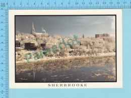 Sherbrooke  Quebec -Riviere Saint-Francois Vue Sur Le Cartier Est - 2 Scans - Sherbrooke