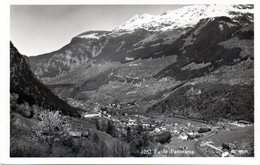 Svizzera - Faido - Panorama - Faido