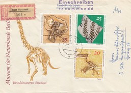 Allemagne Orientale - Lettre/Fossiles Année 1973 Y.T. 1519/1524 - 2 Lettres - Brieven En Documenten