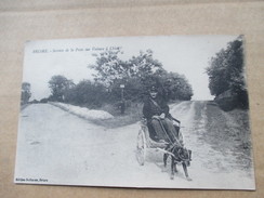 Delcampe - BRIARE  45    VOITURE A CHIEN -  SERVICE DE LA POSTE     TRES ANIME    TTB - Briare