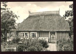 CPM Allemagne ZINGST Ostseebad - Zingst