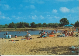 D33 - ARES - LA PLAGE DE SAINT BRICE - BASSIN D'ARCACHON - CPSM Grand Format - Arès