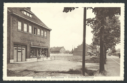 +++ CPA - HEUSDEN - CITE - Koolmijnlaan - Avenue Du Charbonnage   // - Heusden-Zolder