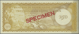 250 Gulden 1962 Specimen P. 6s With 012345 Serial Number And Specimen Overprint, At Right Yellow Trace Of Glue From... - Netherlands Antilles (...-1986)