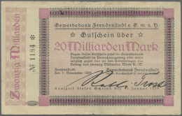 Freudenstadt, Gewerbebank, 20 Mrd. Mark, 1.11.1923, Rückseite Mit Bild, Erh. III-IV (D) - Other & Unclassified