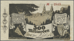 Freudenstadt Und Baiersbronn, Stadtgemeinde Und Gemeinde, 500 Mrd. Mark, November 1923 - 20.4.1924, Erh. II (D) - Other & Unclassified