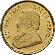 ½ Krügerrand 1980, ½ Unze Feingold, Fast St. (R) - South Africa