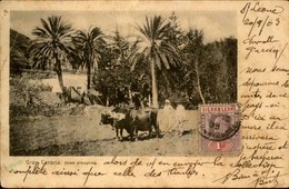 SIERRA LEONE - Carte Postale , Scène D 'agriculture , En 1903 Pour L 'Algérie - A Voir - L 6142 - Sierra Leone