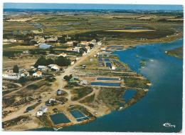 CP TALMONT, VUE AERIENNE, LE PORT DE LA GUITTIERE, VENDEE 85 - Talmont Saint Hilaire