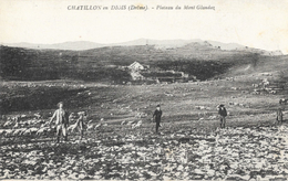 Chatillon-en-Diois (Drôme) - Plateau Du Mont Glandaz - Berger Et Son Troupeau De Moutons - Carte Non Circulée - Châtillon-en-Diois