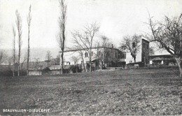 Dieulefit (Drôme) L'Ecole De Beauvallon - Impression D'Art J. Céas Et Fils - Dieulefit