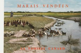 LE MARAIS VENDEEN   85   THEME OISEAUX  LES CANARDS   . - Birds
