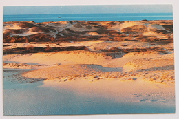 PROVINCETOWN DUNES, CAPE COD, MASSACHUSETTS, MA, USA - Cape Cod