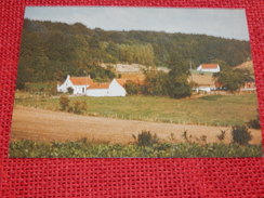 MONT-de-l' ENCLUS -  KLUISBERG - Panorama - Kluisbergen