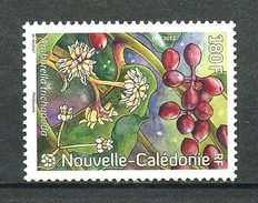 CALEDONIE 2012  N° 1158 ** Neuf MNH Superbe Flore Arbuste Amborella Trichopoda Trees - Neufs