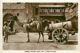 A-17-1635  :  YEMEN.   ADEN . CAMEL.  WATER CART - Yémen